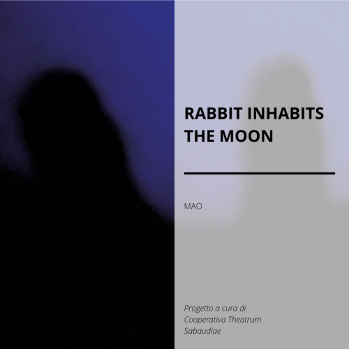 rabbit_inhabits_the_moon